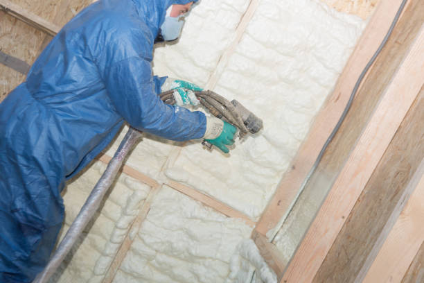 Best Blown-In Insulation  in Carbondale, CO